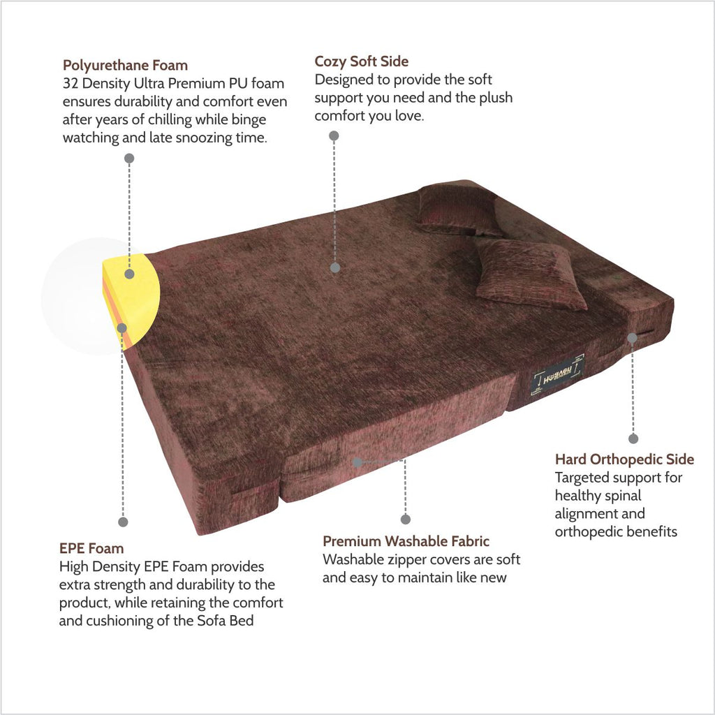Rejoice Sofa Cum Bed - 2  Seater, Plain Cushion ( Premium Molfino Fabric, Brown )